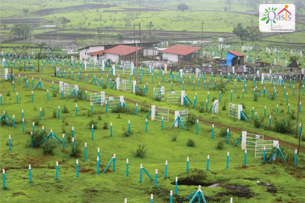 Images for Elevation of Mirador Oasis Estate Phase 2 Images for Elevation of Mirador Oasis Estate Phase 2