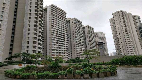 Elevation emerald-isle-t4-t5-t6 Elevation