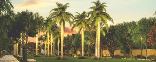  saviero Landscaped Gardens