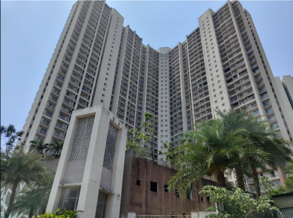 Elevation greens-1 Elevation