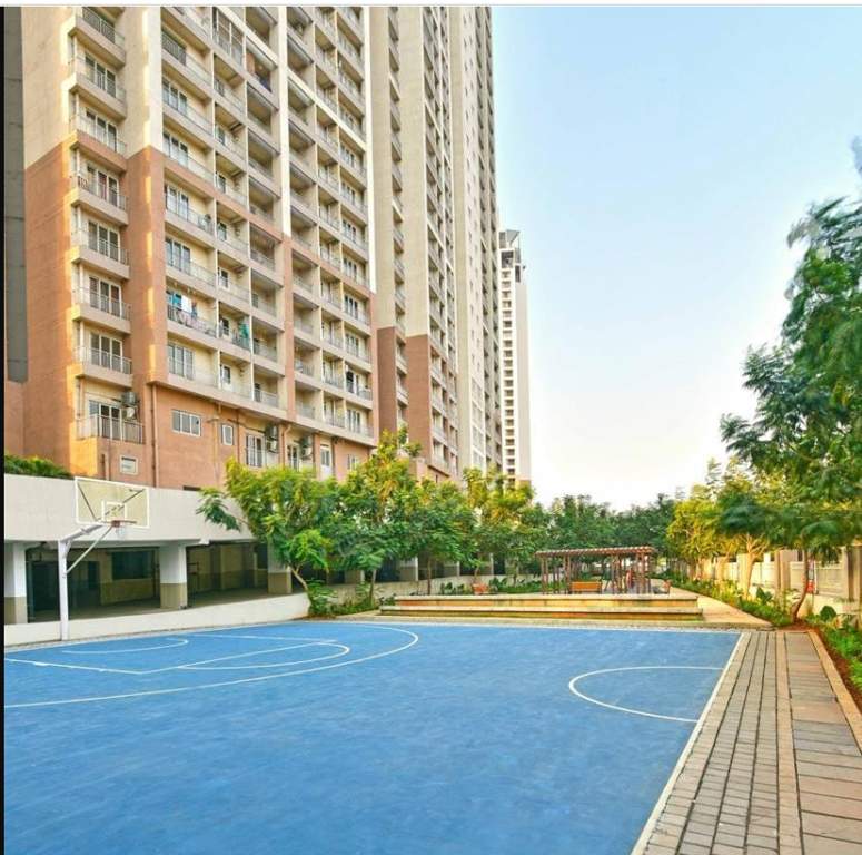  greens 1 Basketball Court