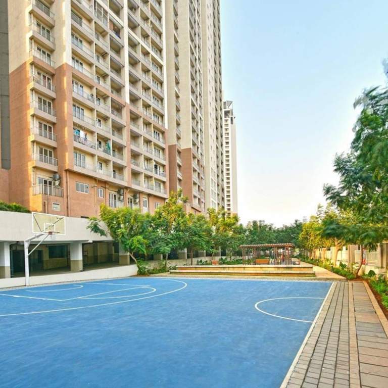  greens 4 Basketball Court