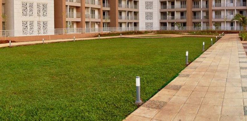  greens 4 Jogging Track