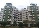 Sankalp L M Wings