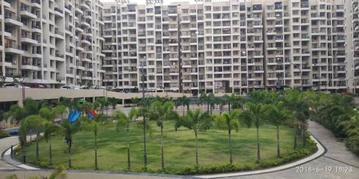 skycity- Elevation Elevation