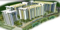 Mira Road Project 1