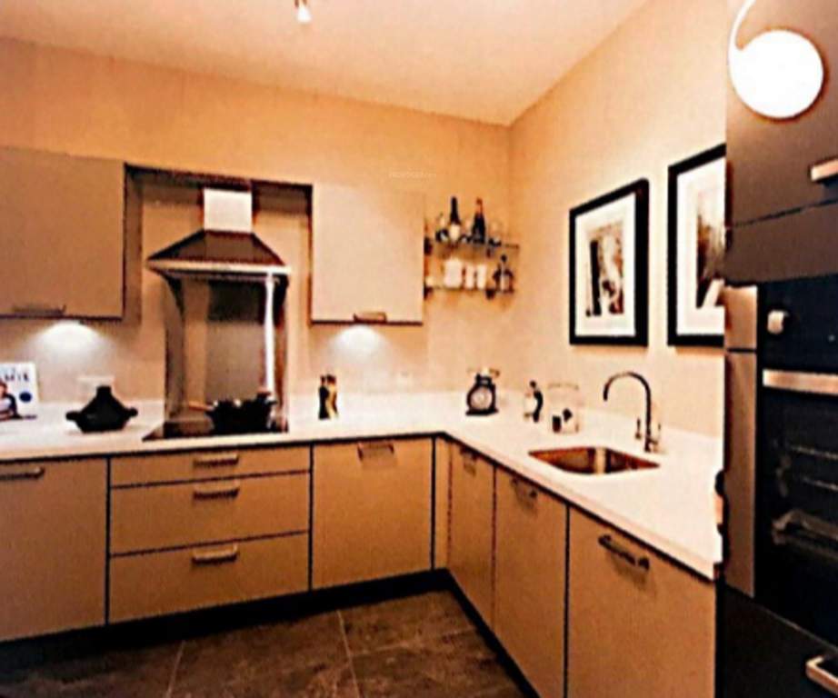 Images for mainOther