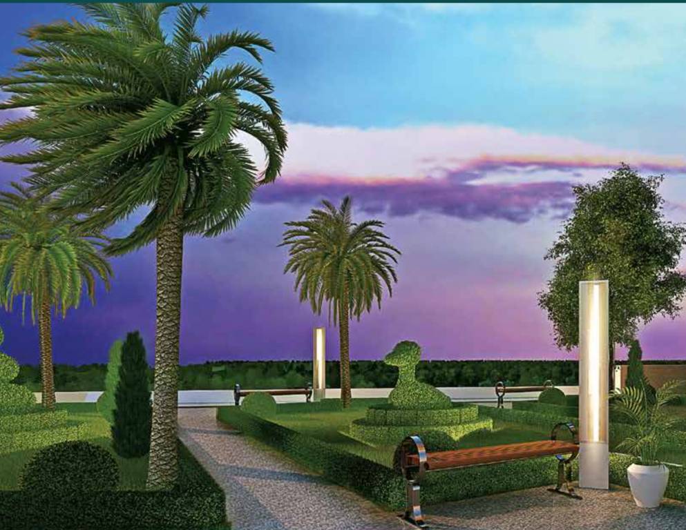  aveza phase 1 Others