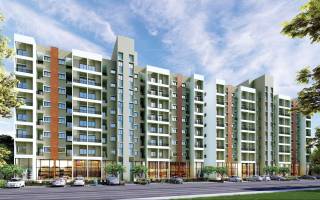 Project Image Project Image