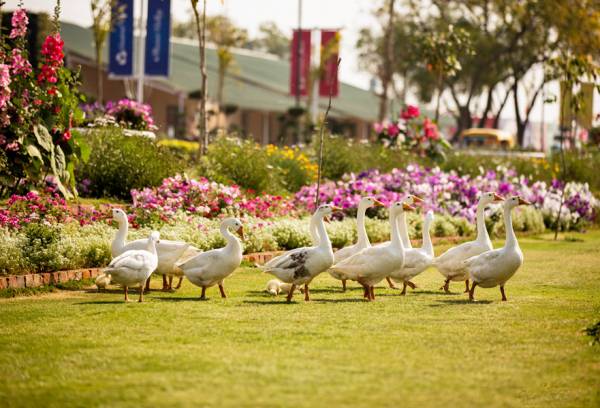 Images for Amenities of Central Park Cerise Floors Images for Amenities of Central Park Cerise Floors