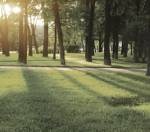 Images for Amenities of Rohan Rohan Madhuban II Wings D E