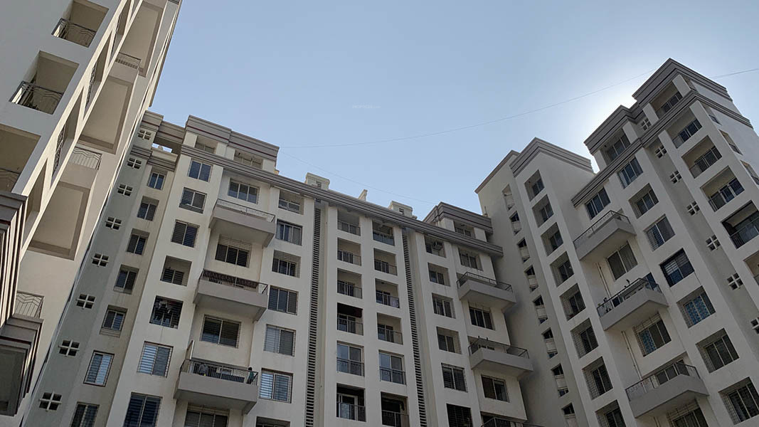  the waterfront Elevation