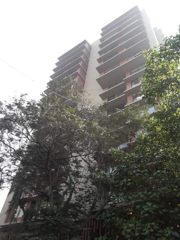  florence Images for Elevation of A P Florence