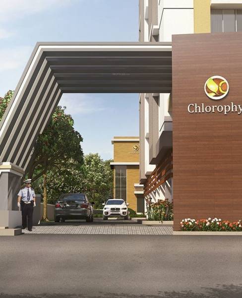  chlorophyll Elevation