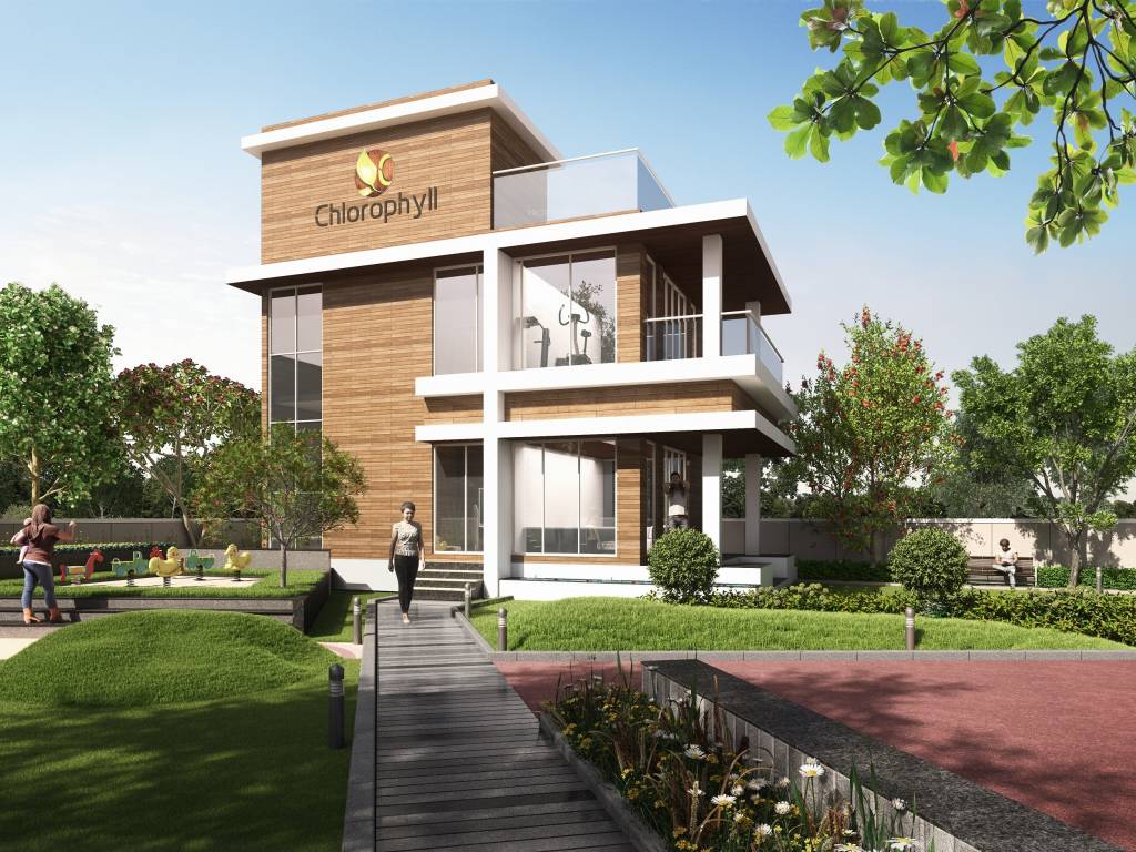  chlorophyll Club House