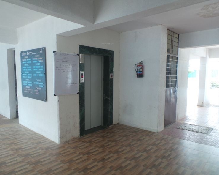  blue berry phase ii Lift(s)