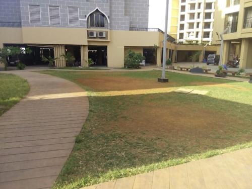  sukoon-heights Landscape Garden and Tree Planting