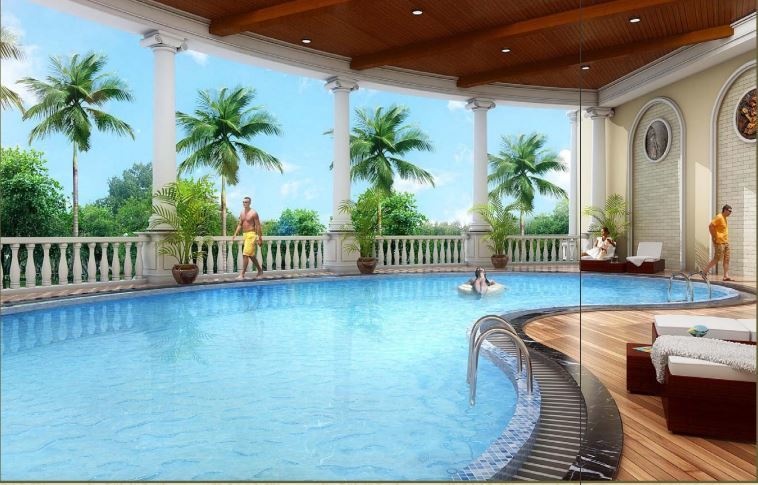  solitaire phase i Others