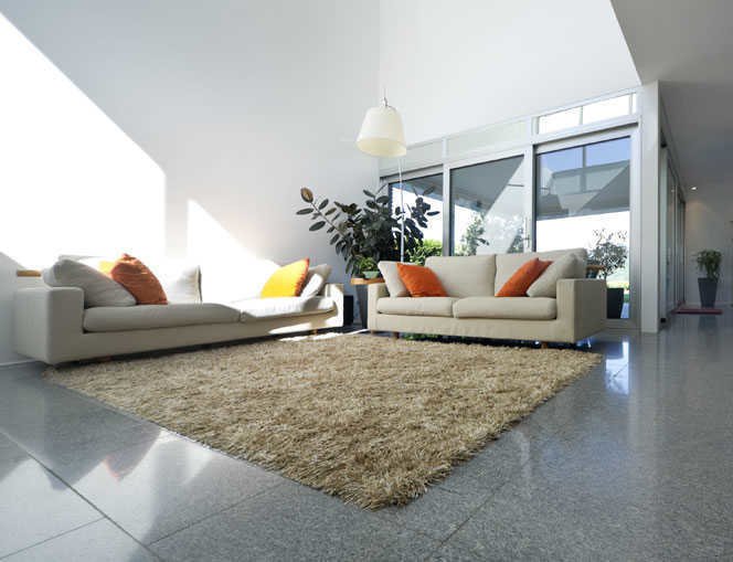  city phase ii Living Area