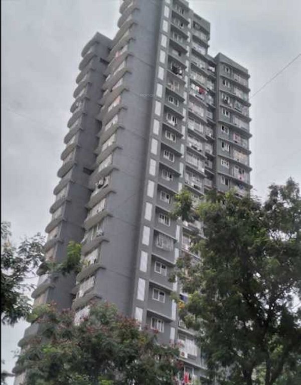  palkhi aura Elevation