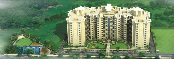  galaxy-panache Elevation