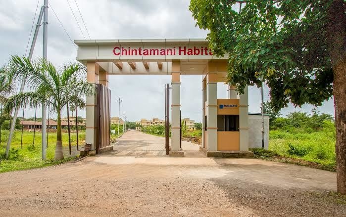  chintamani habitat daffodils type g e Others