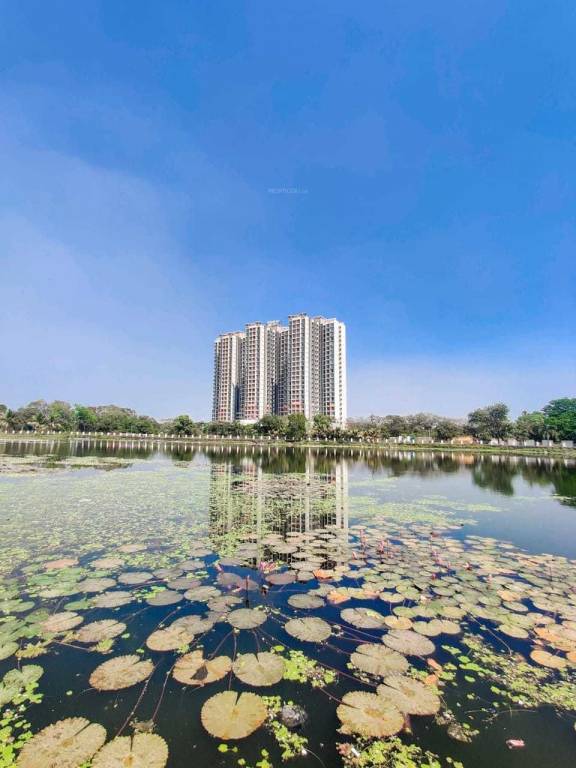  versatile valley Elevation