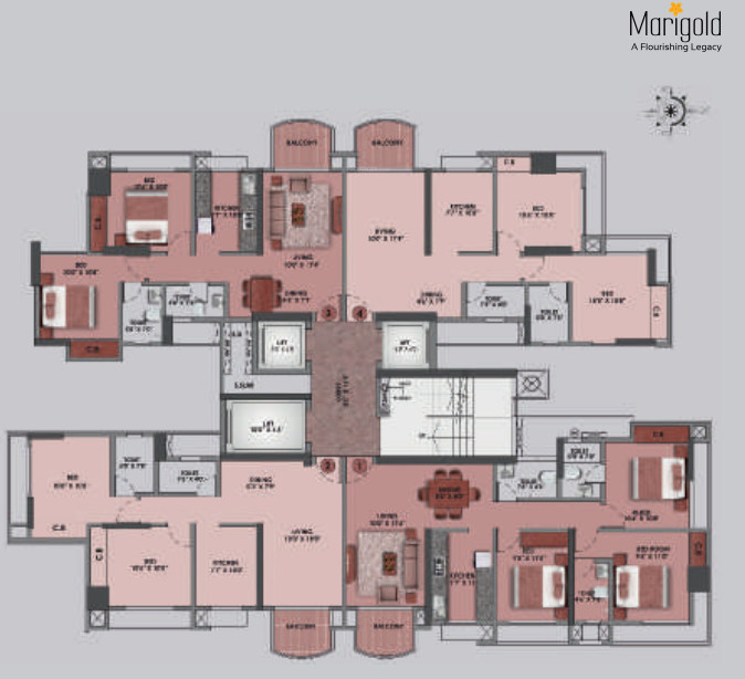  marigold b wing Marigold B Wing Cluster Plan