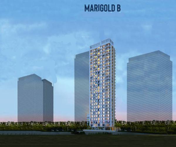 marigold-b-wing Elevation