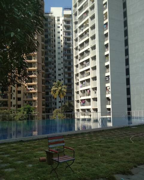  elite-solitaire-16 Swimming Pool