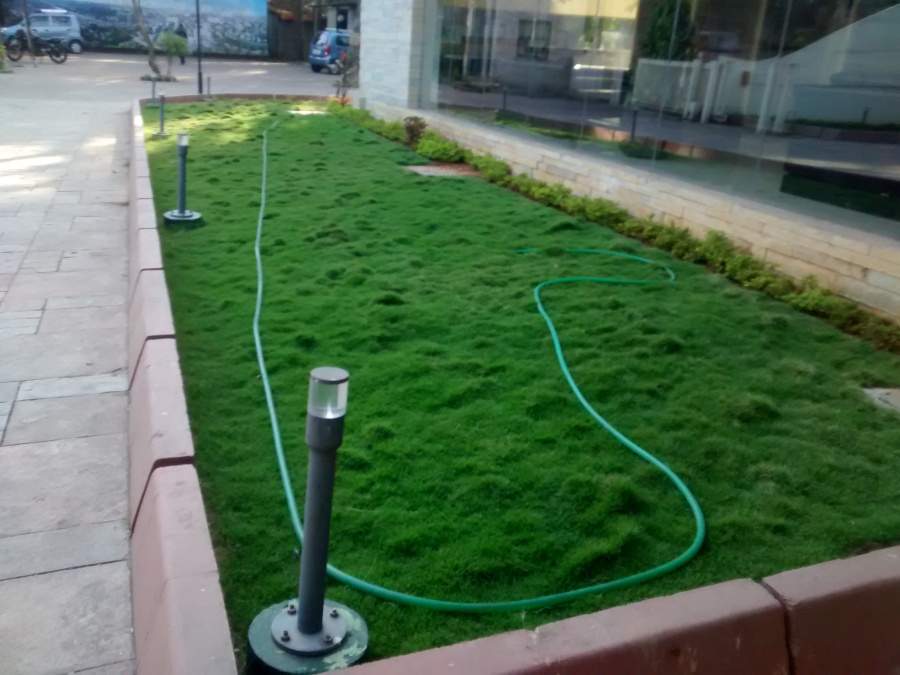 seasons czarnowo Landscaped Gardens