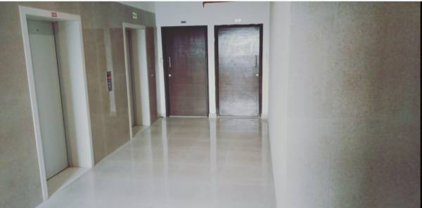  oasis-tower-2 Others