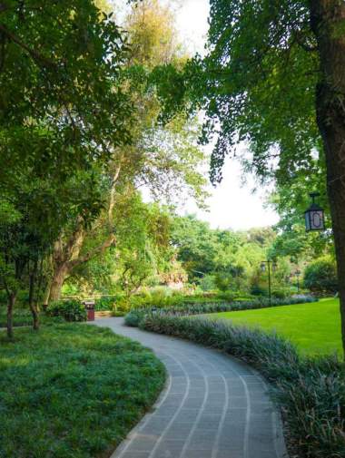  vraj prarambh Landscape Garden and Tree Planting