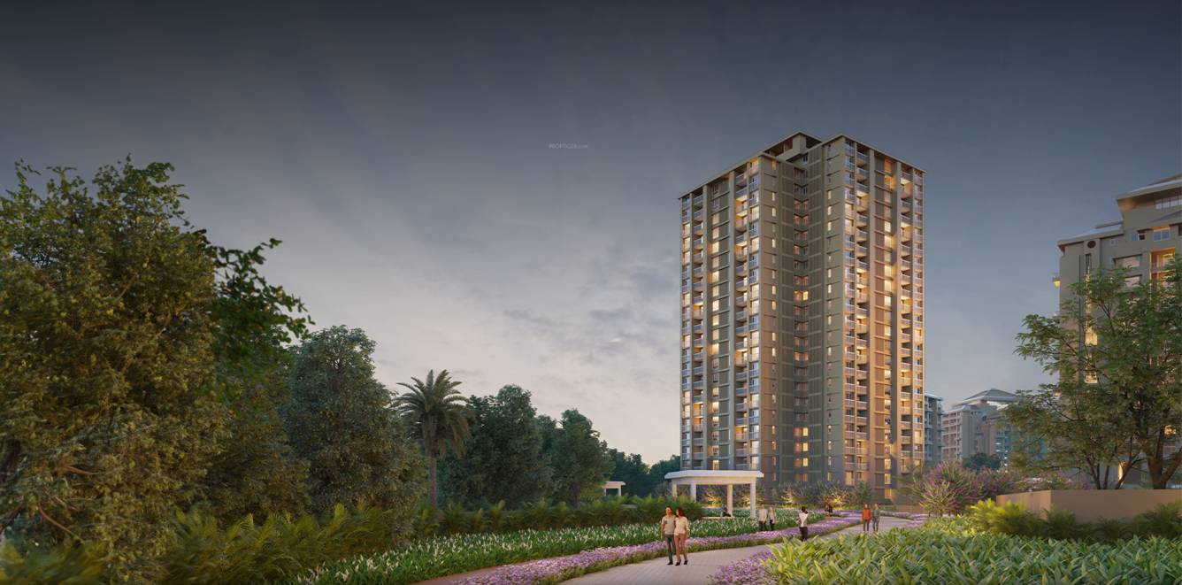  songbirds phase b Elevation