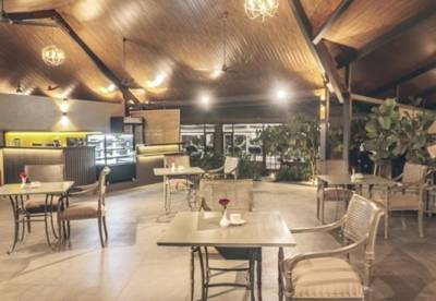 Cafeteria songbirds-phase-b Cafeteria