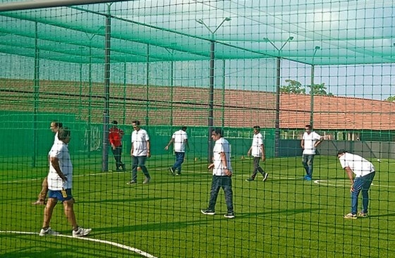  songbirds phase b Others