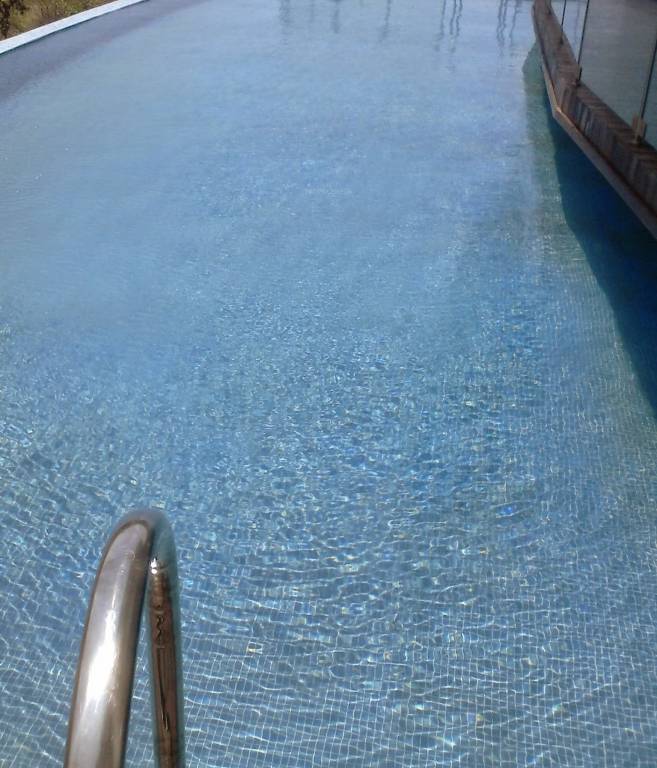  songbirds phase b Swimming Pool