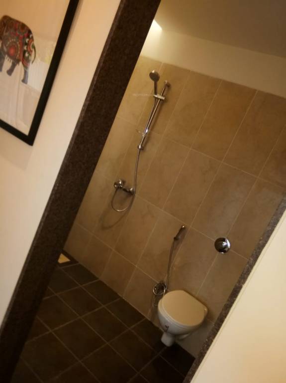 Images for Main Other of Skyi Songbirds Phase B