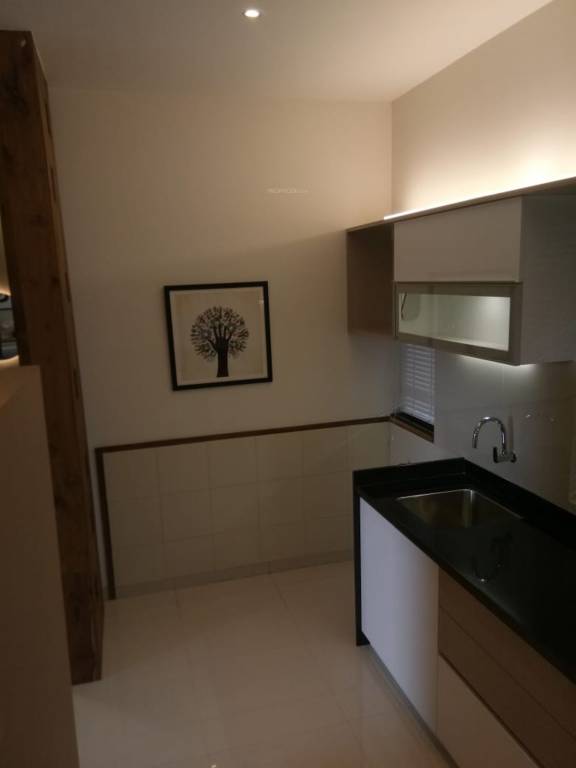 Images for Main Other of Skyi Songbirds Phase B