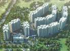 Life Maxima Phase 1