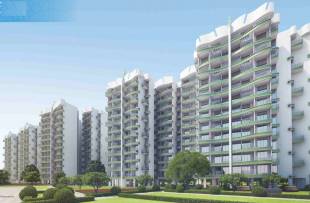  proviso-leisure-town Elevation