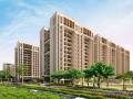 Sanklecha Constructions Mango One B