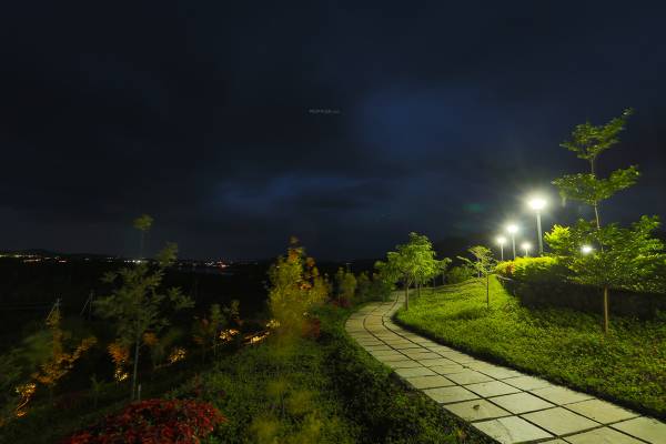  lake-front-phase-v Landscaped Gardens