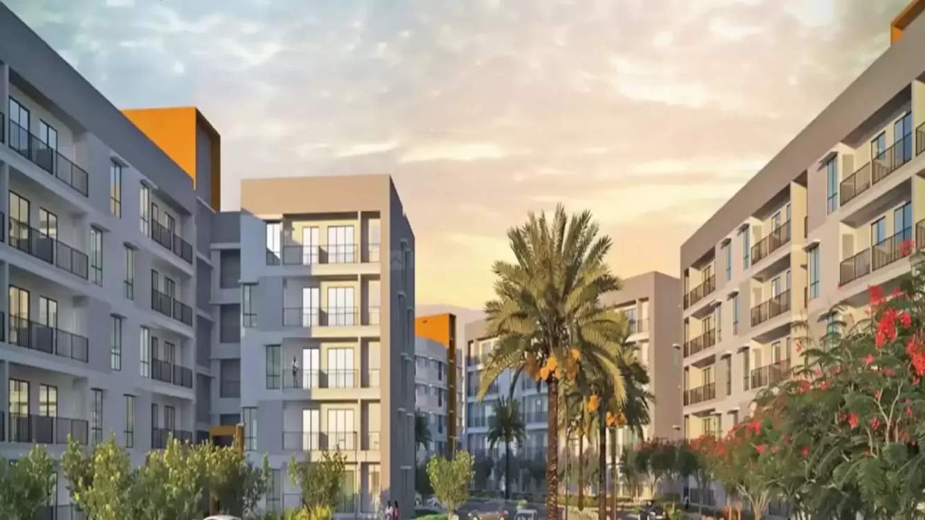  new haven compact boisar ii phase i Elevation