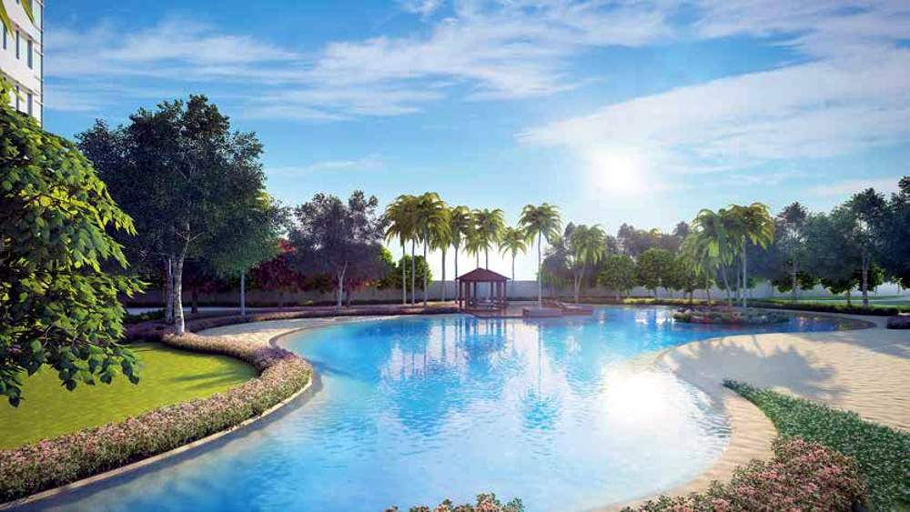 Images for Amenities of Marathon Monte South 2