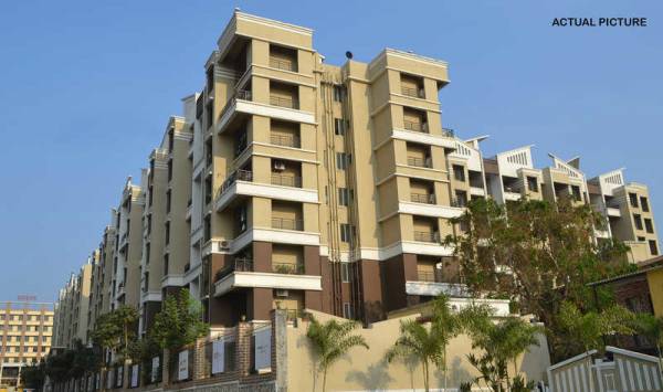  suburbia-iib Elevation