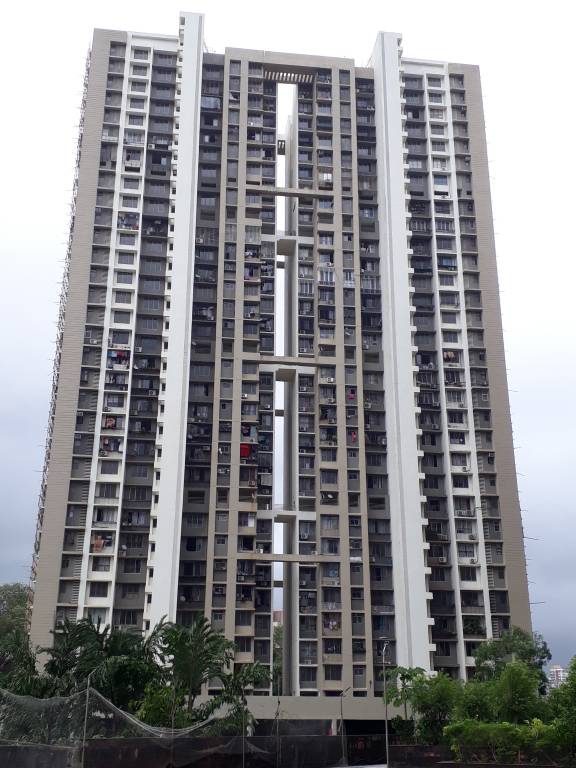  flying kites a wing right wing Elevation