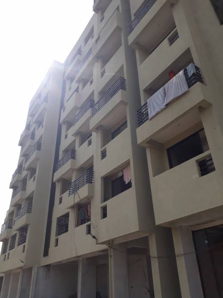  mohak-oyster-living Elevation