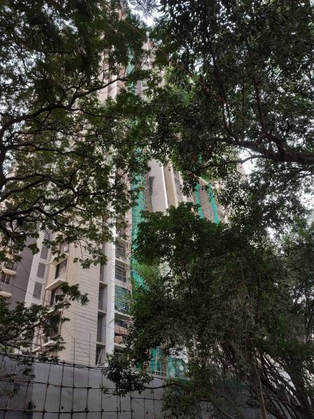 Images for Construction Status of Neptune Eleve Wing B