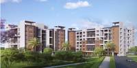 City Phase II